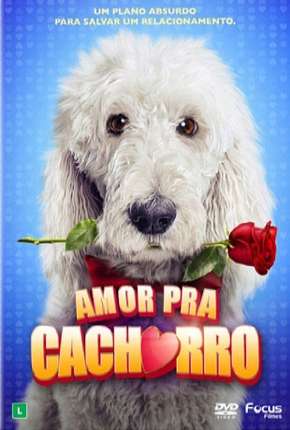 Baixar Amor Pra Cachorro Torrent