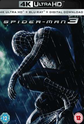 Baixar Homem-Aranha 3 4K Torrent