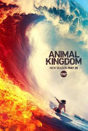 Baixar Animal Kingdom - 4ª Temporada Legendada Torrent