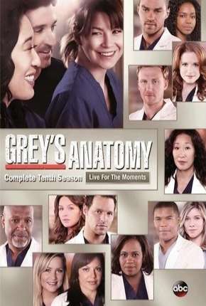 Baixar Greys Anatomy - 10ª Temporada - Completa Torrent