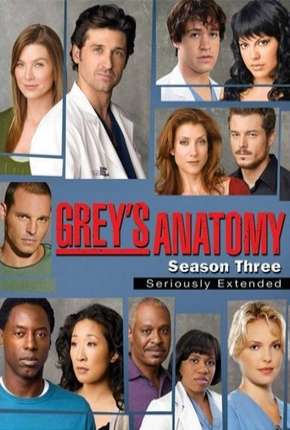 Baixar Greys Anatomy - 3ª Temporada - Completa Torrent