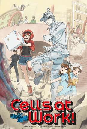 Baixar Hataraku Saibou - Cells at Work Torrent