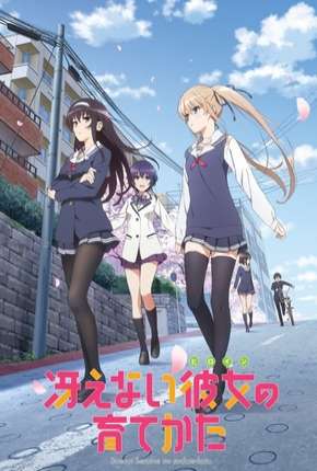 Baixar Saenai Heroine no Sodatekata - Legendado Torrent