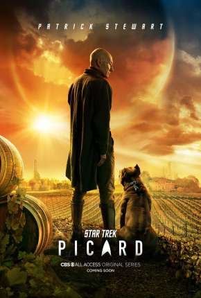 Baixar Star Trek - Picard - 1ª Temporada Torrent