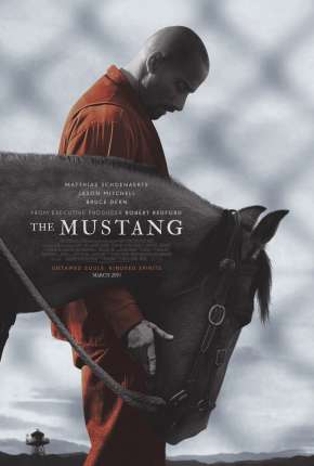 Baixar The Mustang - Legendado Torrent