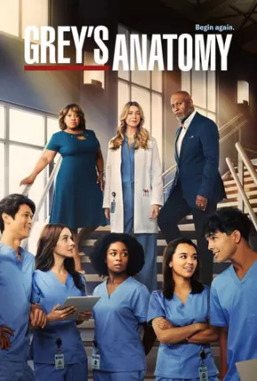 Baixar Greys Anatomy - 19ª Temporada Torrent