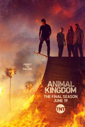 Baixar Animal Kingdom - 5ª Temporada Legendada Torrent