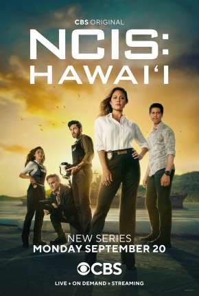 Baixar NCIS - Hawai i - 2ª Temporada Legendada Torrent