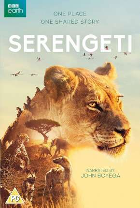 Baixar Serengeti - 2ª Temporada Completa Legendada Torrent