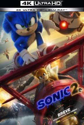 Baixar Sonic 2 - O Filme 4K Torrent