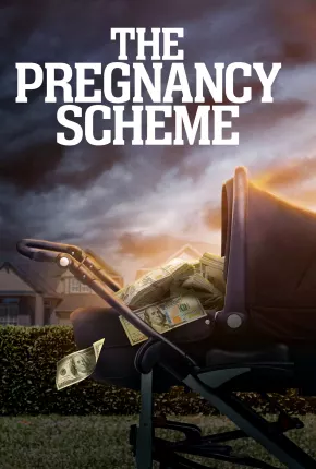 Baixar The Pregnancy Scheme - Legendado Torrent