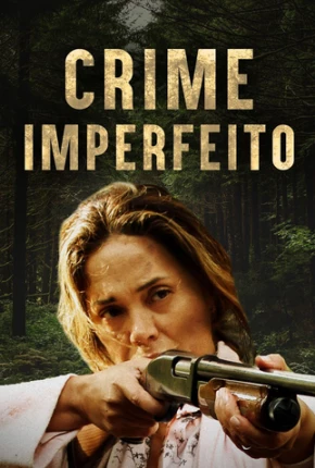 Baixar Crime Imperfeito Torrent