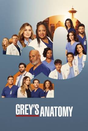 Baixar Anatomia de Grey - 20ª Temporada Legendada Torrent