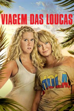 Baixar Viagem das Loucas / Snatched Torrent