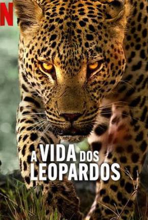 Download A Vida dos Leopardos