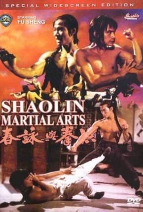 Baixar As Artes Marciais de Shaolin / Hong quan yu yong chun Torrent