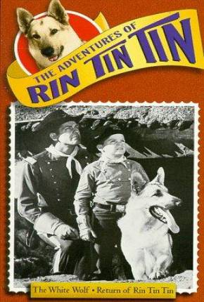 Baixar As Aventuras de Rin Tin Tin - 1ª Temporada Torrent