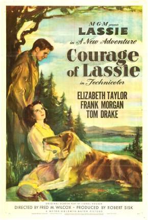 Baixar A Coragem de Lassie / Courage of Lassie Torrent