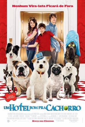 Baixar Um Hotel Bom Pra Cachorro (1080P) Torrent